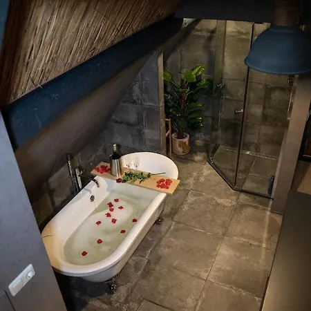 Tol Oost Ferienhaus Werkendam